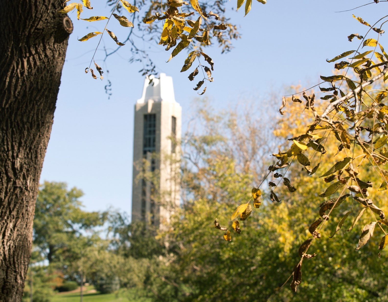 Photo by KU Marketing Communications