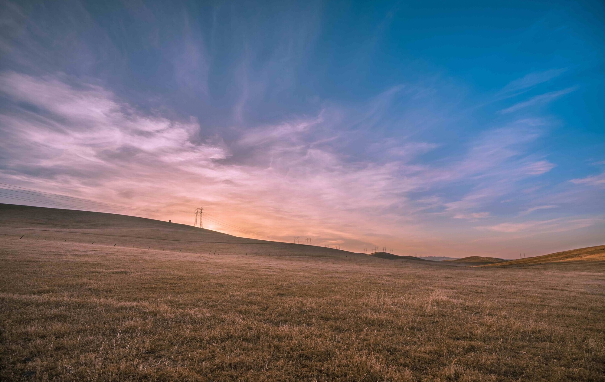 Photo by Joseph Barrientos