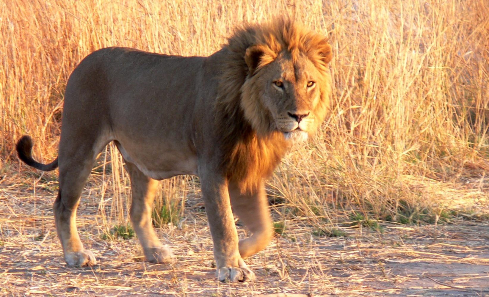 5908001532_9ba7e5f180_o