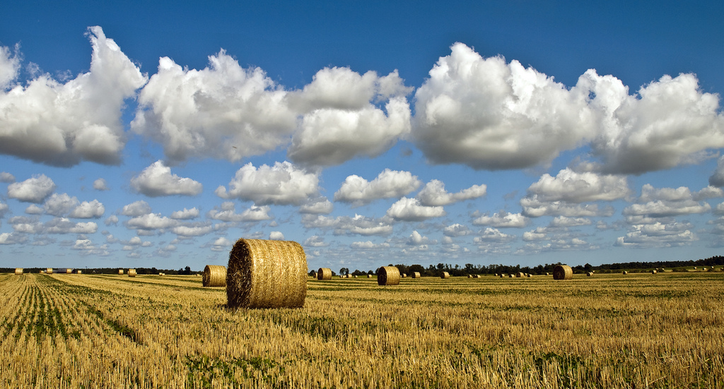 Photo by Berit Watkin