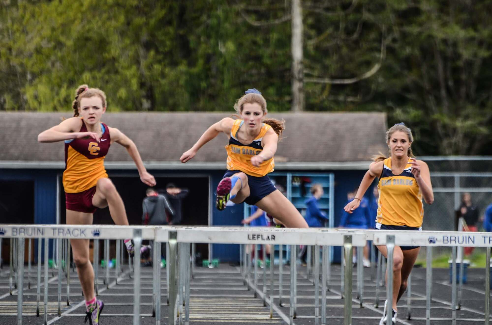 Photo by Oscar Rethwill.