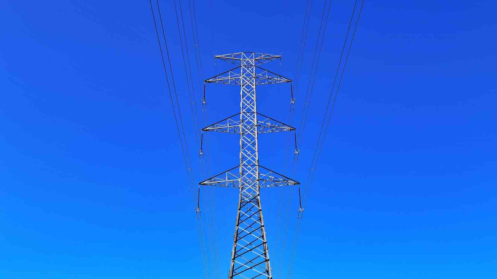 Photo by Mike Wilson