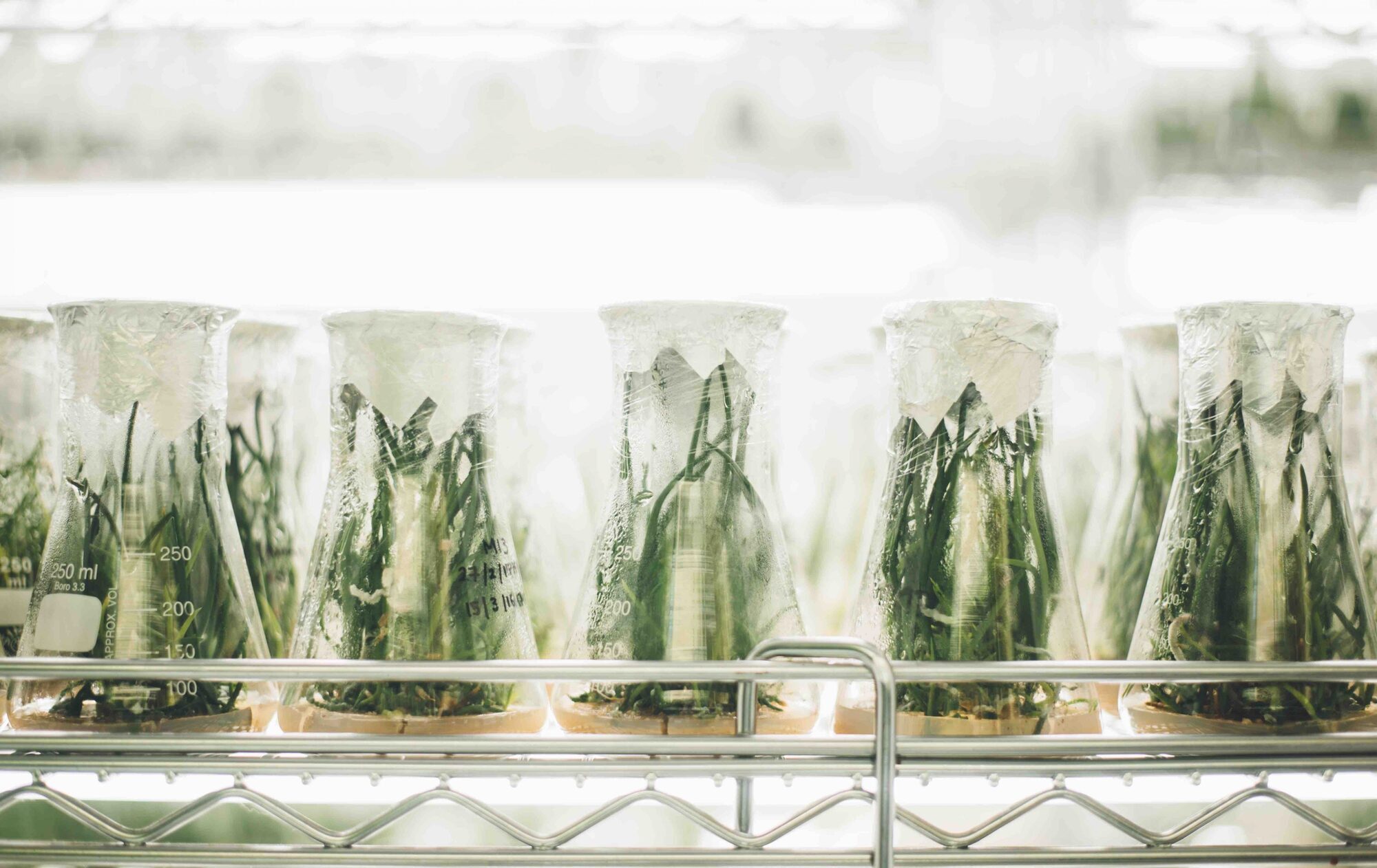 Photo by chuttersnap