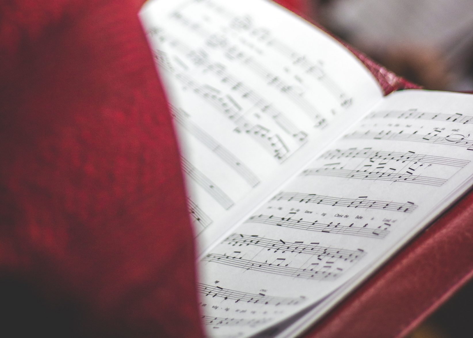 photo by David Beale