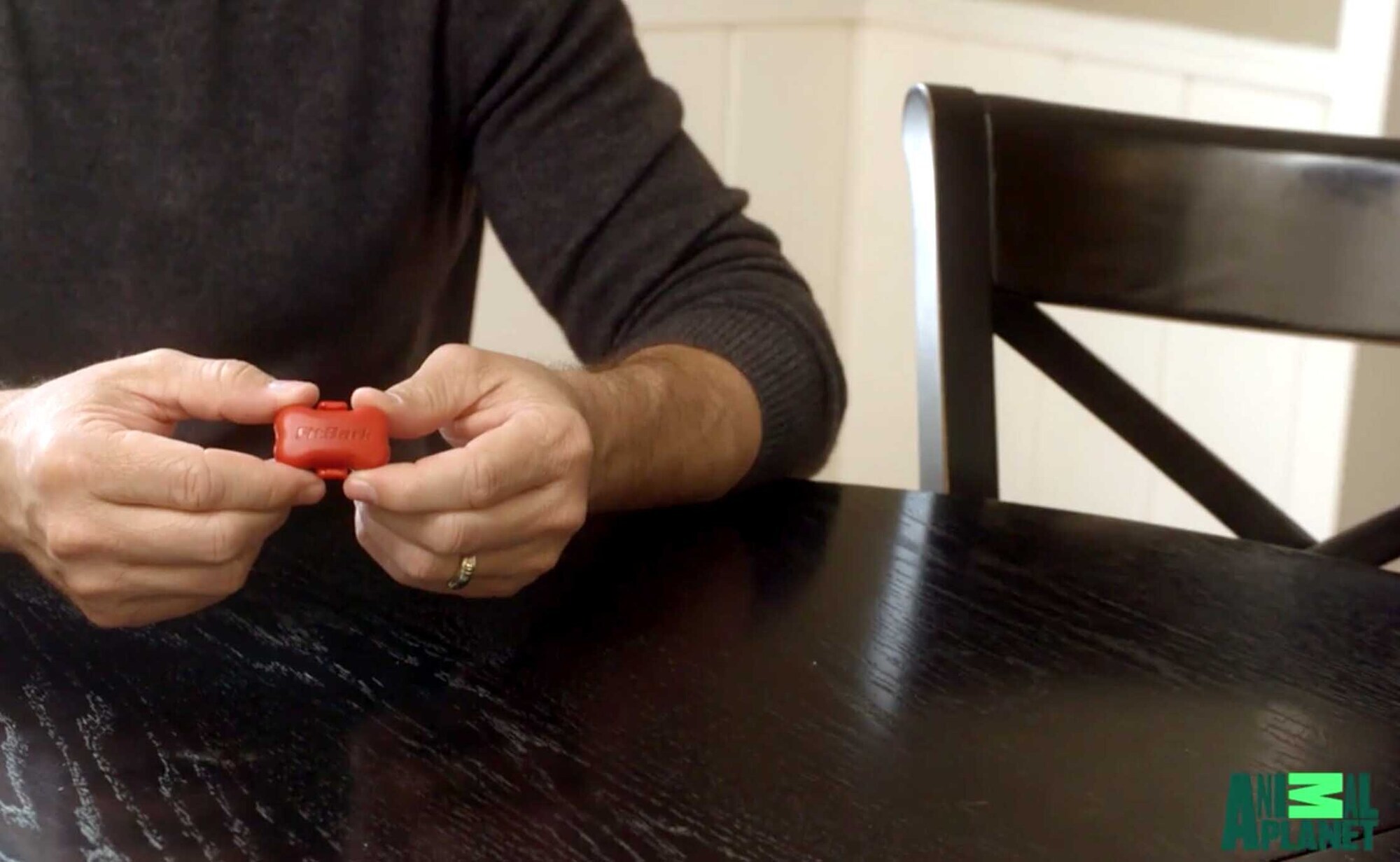 Travis Brorsen showing off the FitBark device on “My Big Fat Pet Makeover” 