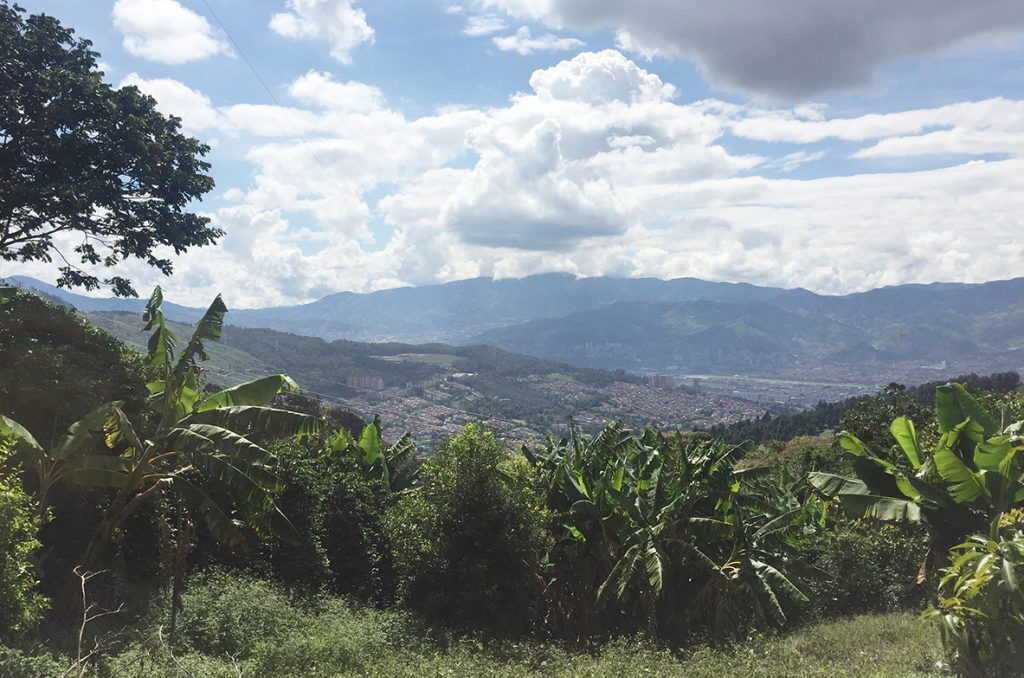 The city of Medellin, Colombia, as seen from the coffee fields of La Sierra. Photo by Megan Finck