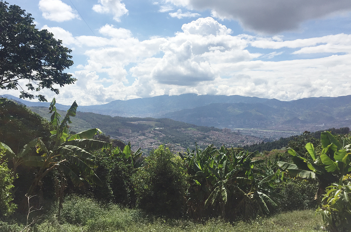 The city of Medellin, Colombia, as seen from the coffee fields of La Sierra. Photo by Megan Finck