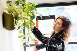 Callie England, WallyGro