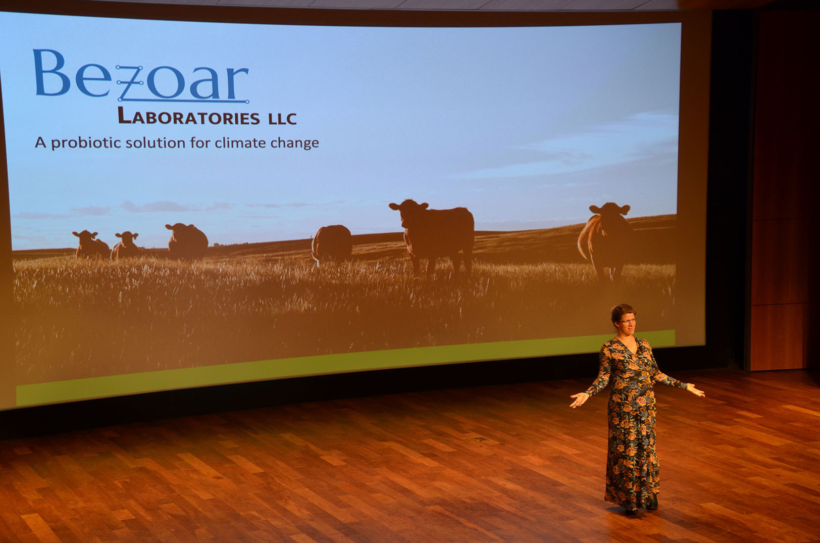 DFA_Sprint_Demo_Day_06_Bezoar