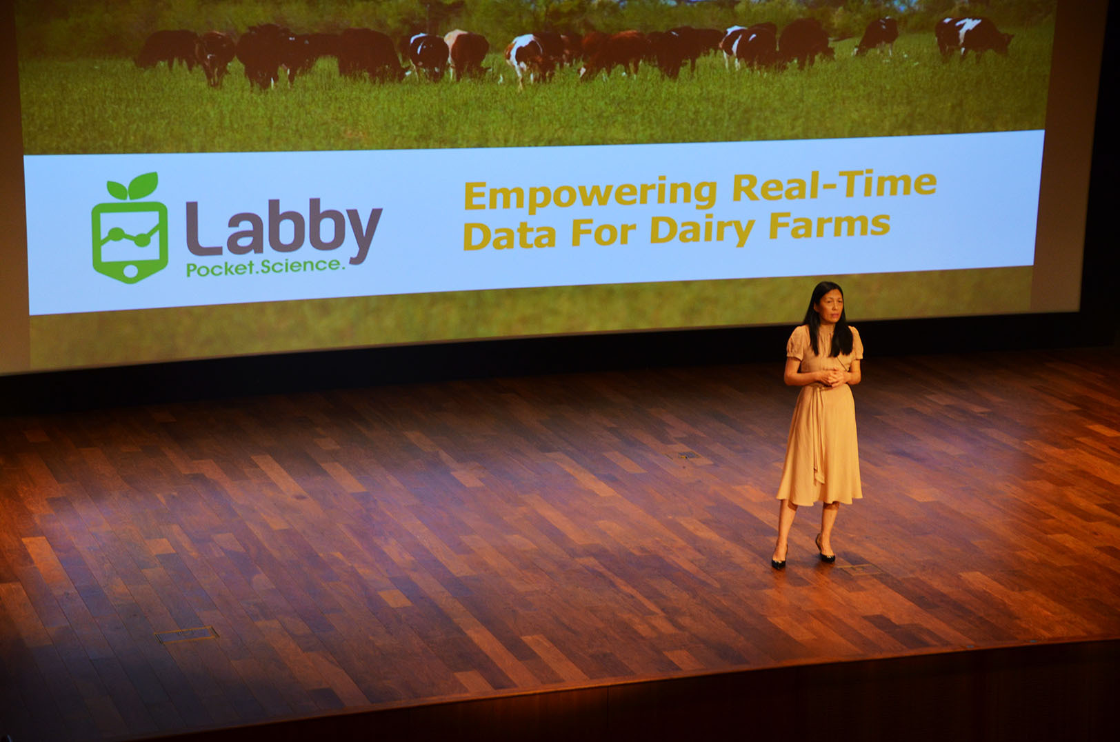 DFA_Sprint_Demo_Day_08_Labby