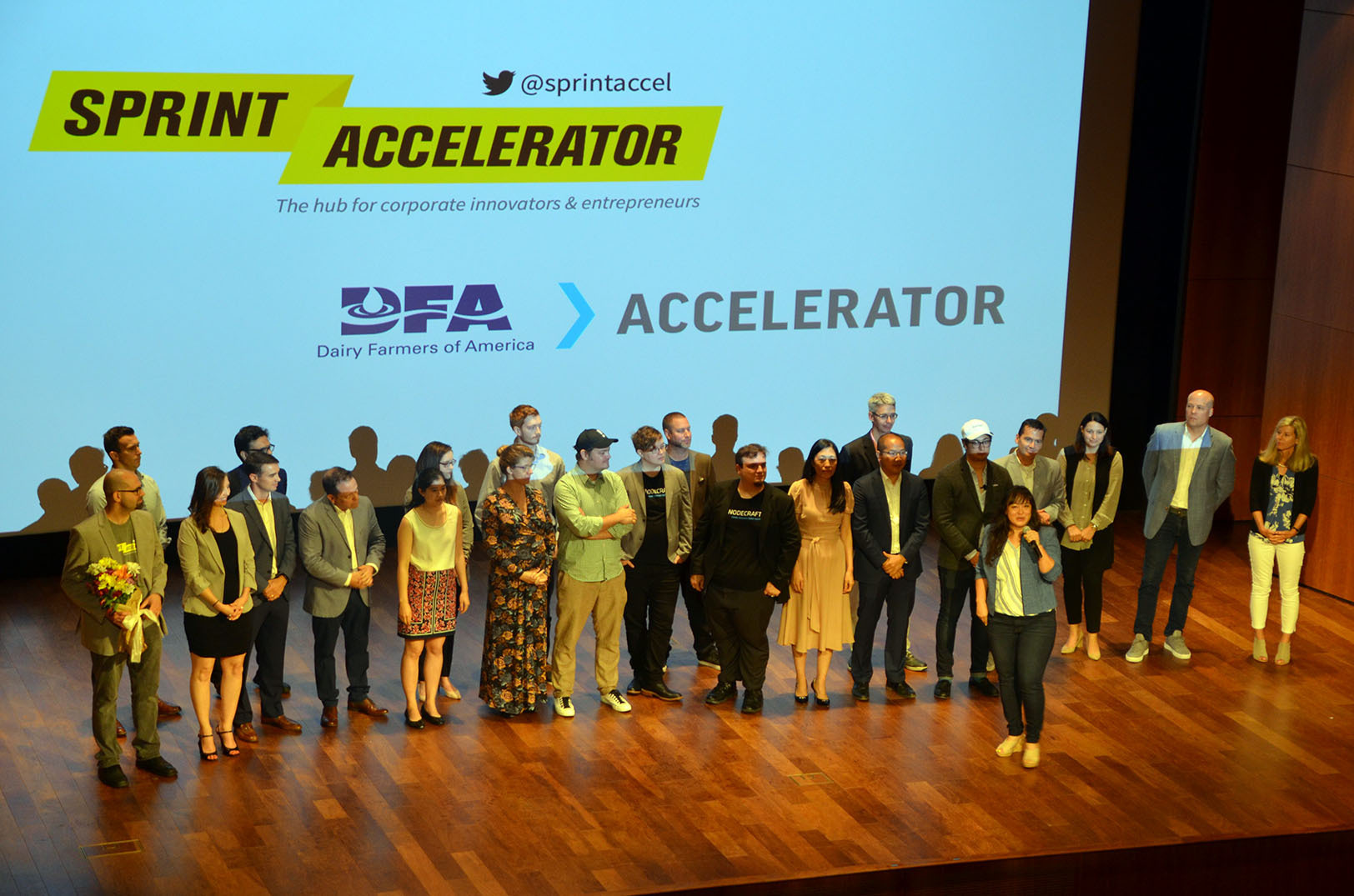 DFA_Sprint_Demo_Day_13