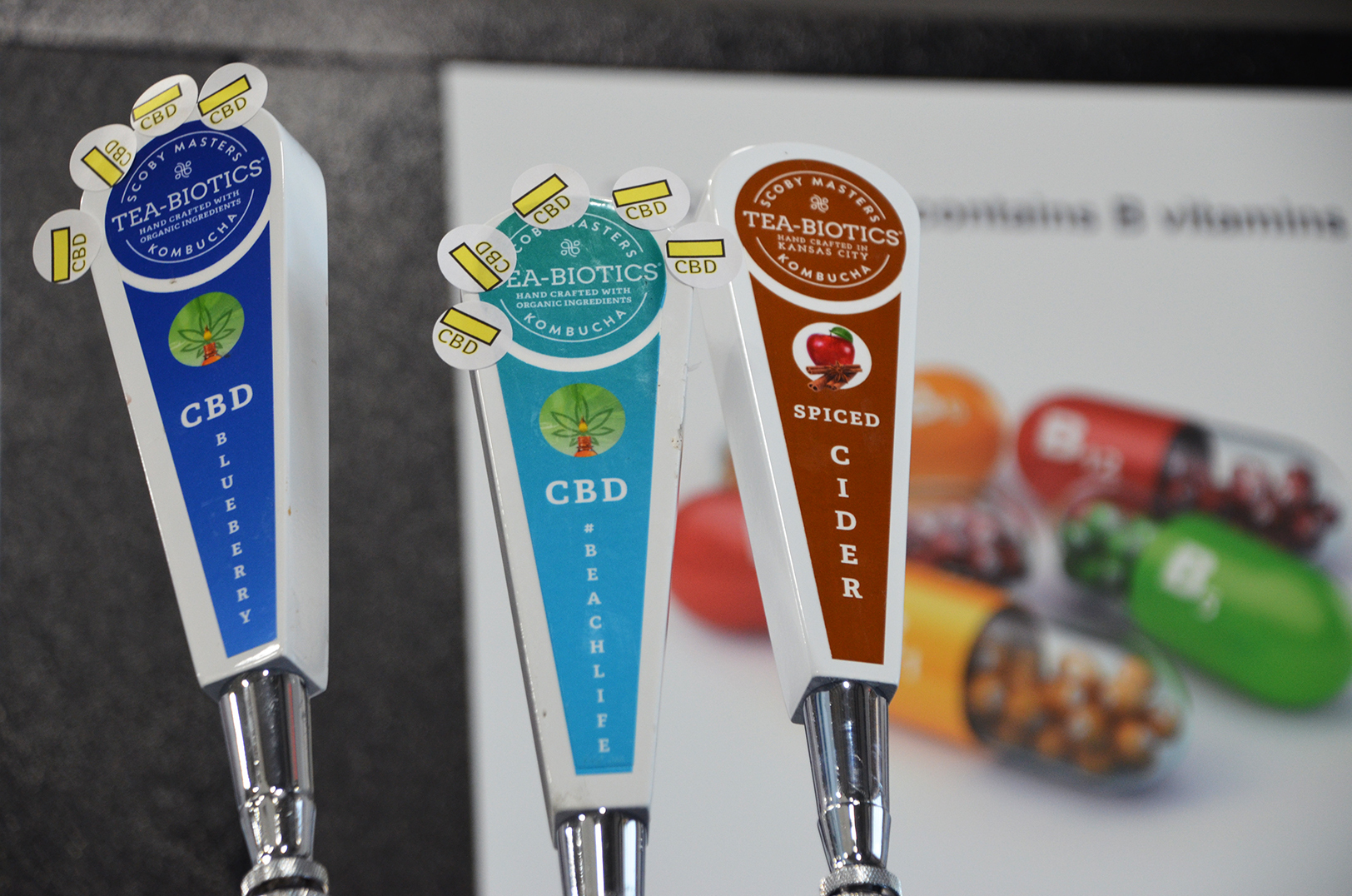 Tea-Biotics_Taproom_13