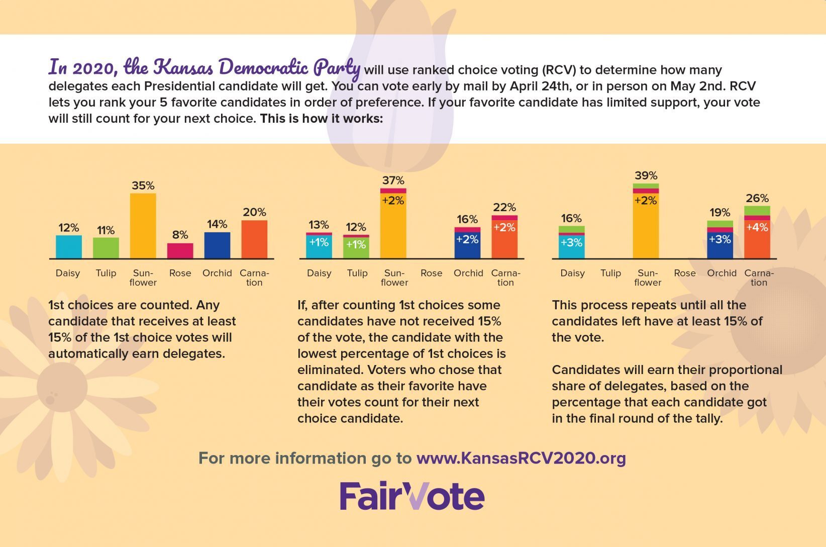 Ranked_Choice_Voting_02b