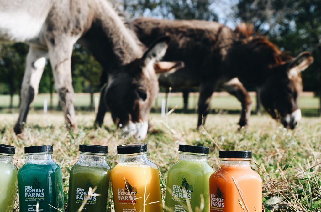 Zen Donkey Farms, photo courtesy of Anna Petrow