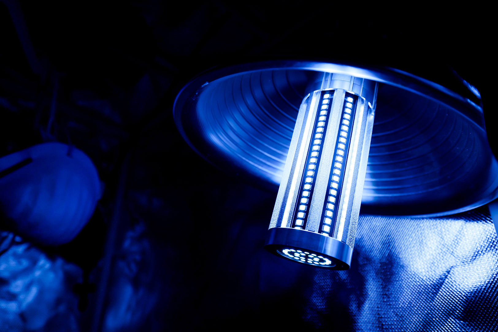 Year-Round-Garden_03