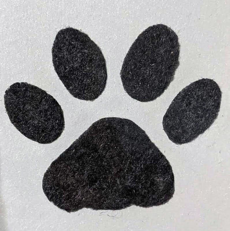 Never Forgotten hair art 05