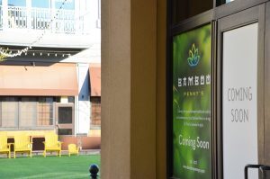 Bamboo Penny&rsquo;s Leawood