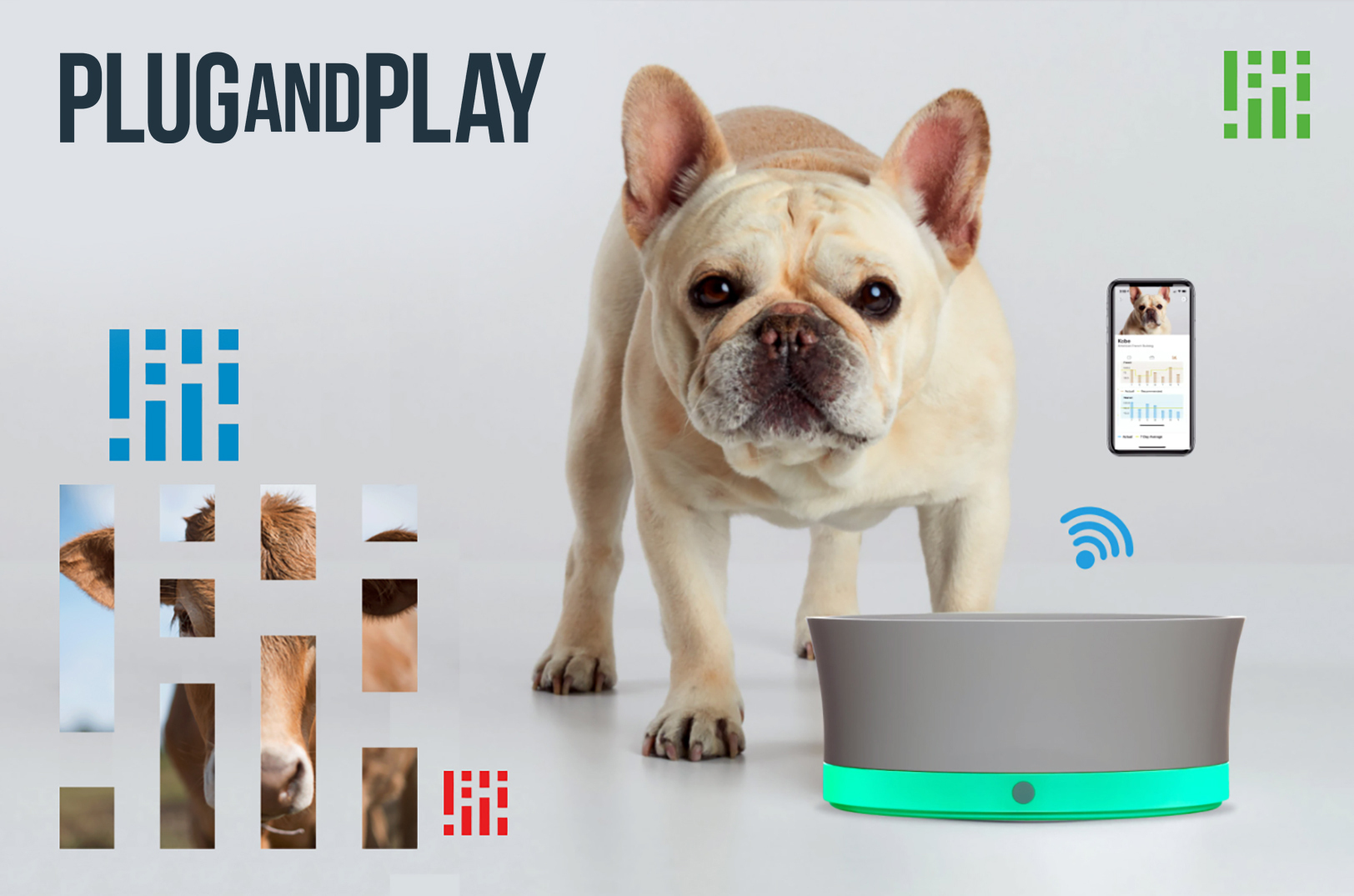 Obe, Inc., Plug and Play Topeka