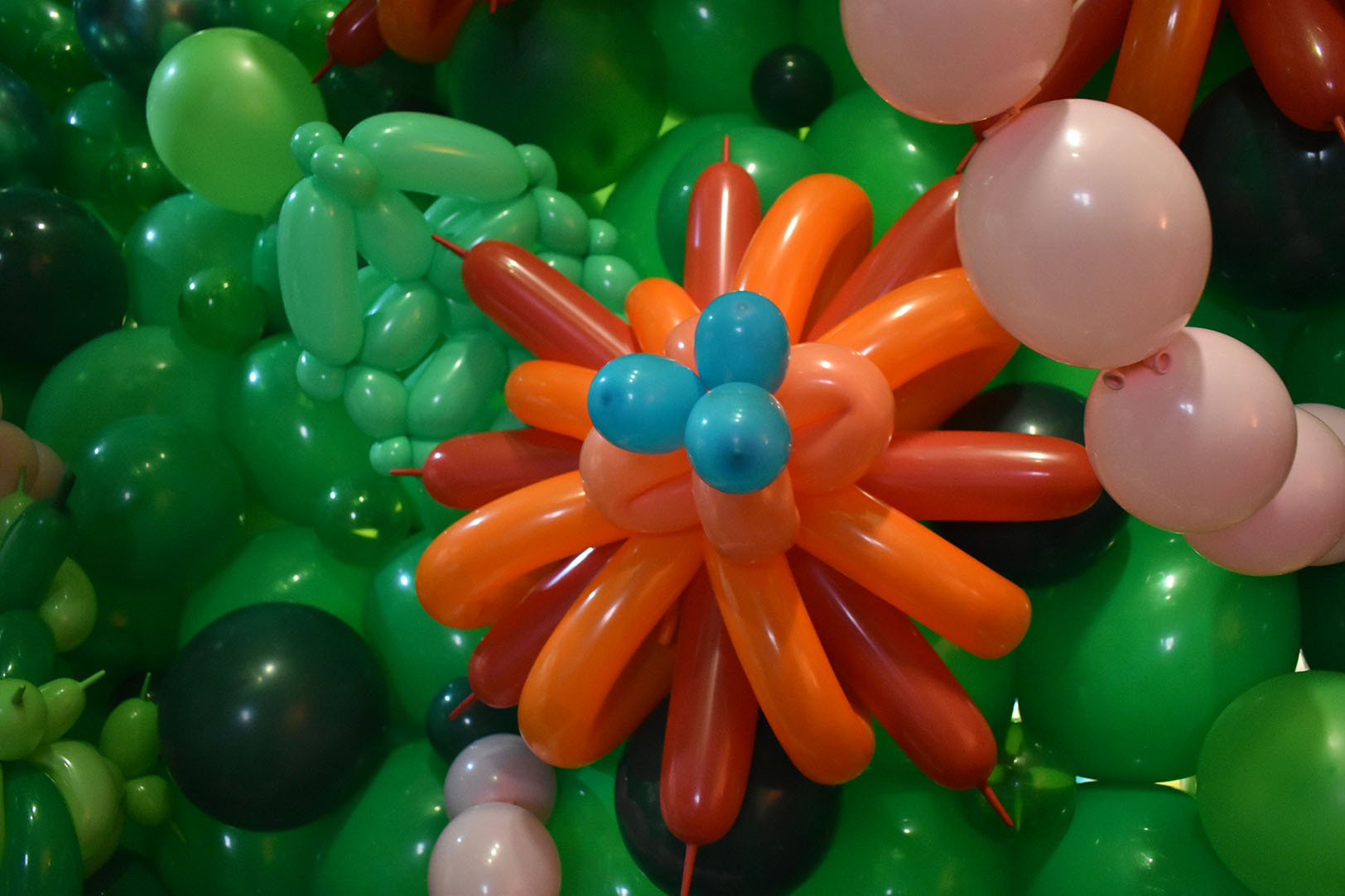 Balloon Wonderland 01