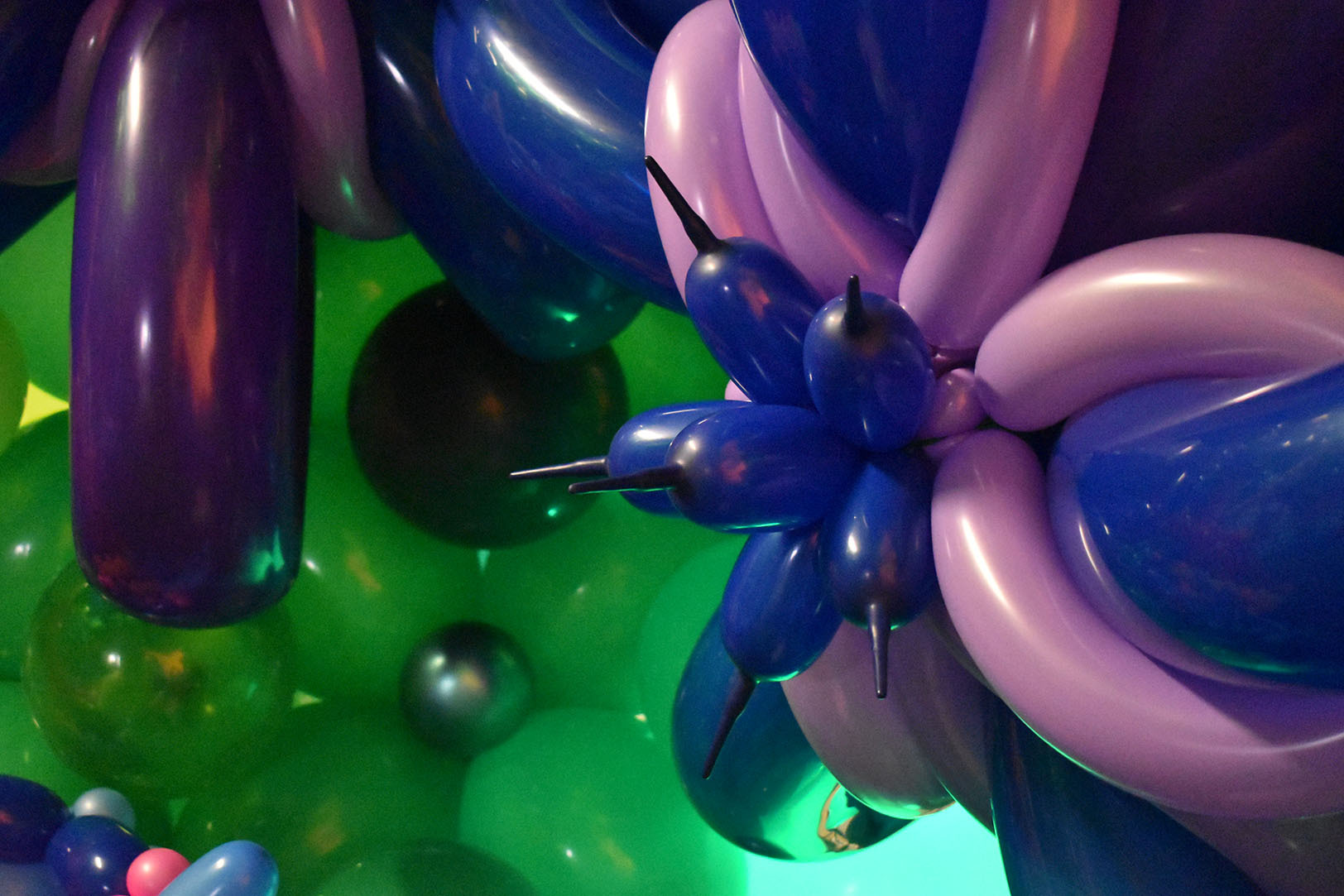 Balloon Wonderland 03