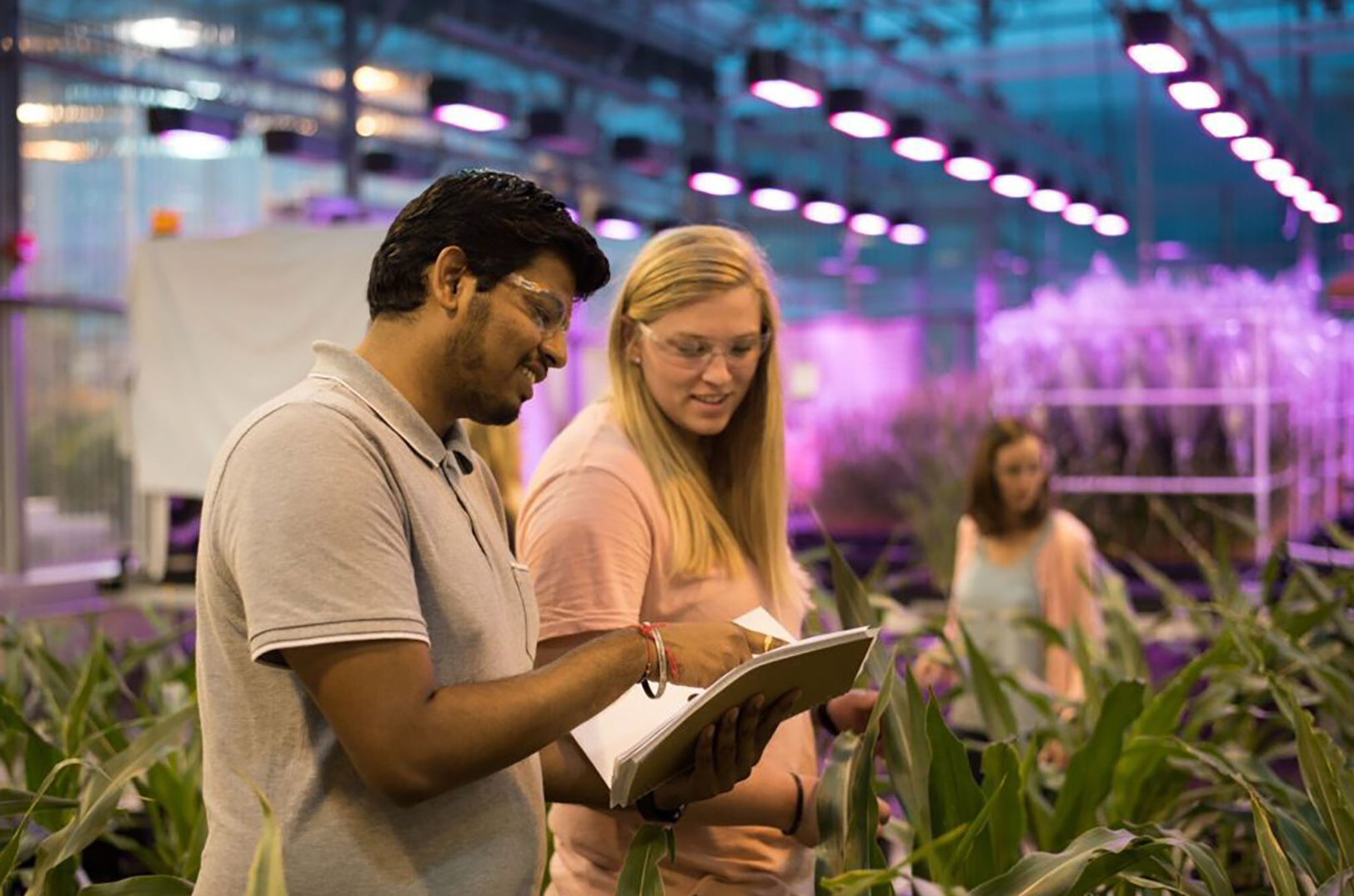 Photo courtesy of Benson Hill