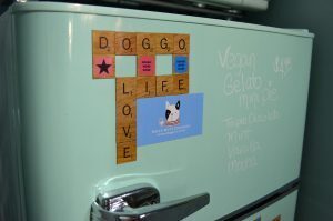 Mixed Mutt Creamery 09