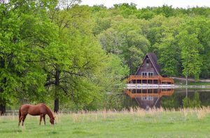 Linda Ordway A-Frame cabin