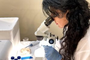 Professor Ranan Aktas, Maltepe University