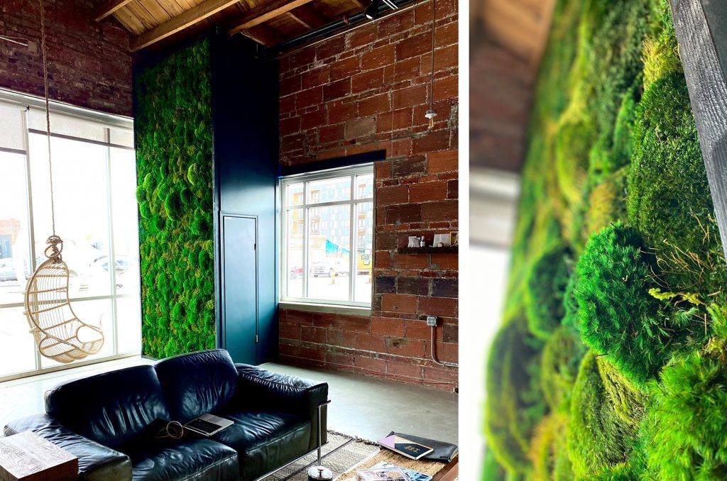 The Fat Plant Society installation at The Laya Center in Kansas City's Crossroads Arts District