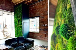 The Fat Plant Society installation at The Laya Center in Kansas City's Crossroads Arts District