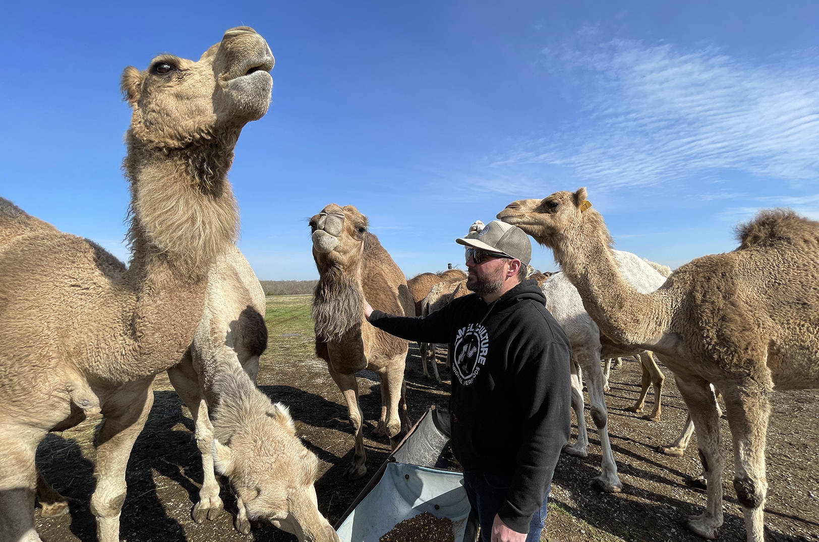 Ryan Fee, Camel Culture
