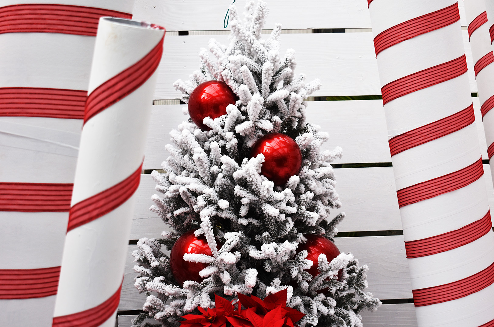 Flocked tree at Family Tree Nursery