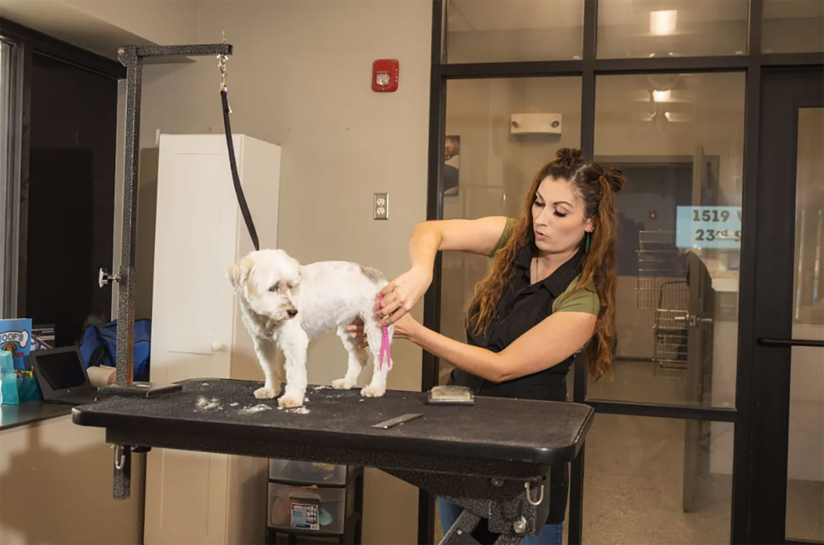 Ashley Stillings is a 2018 graduate of the dog grooming program and now works as a groomer in Lawrence; photo by Zach Bauman, The Kansas City Beacon