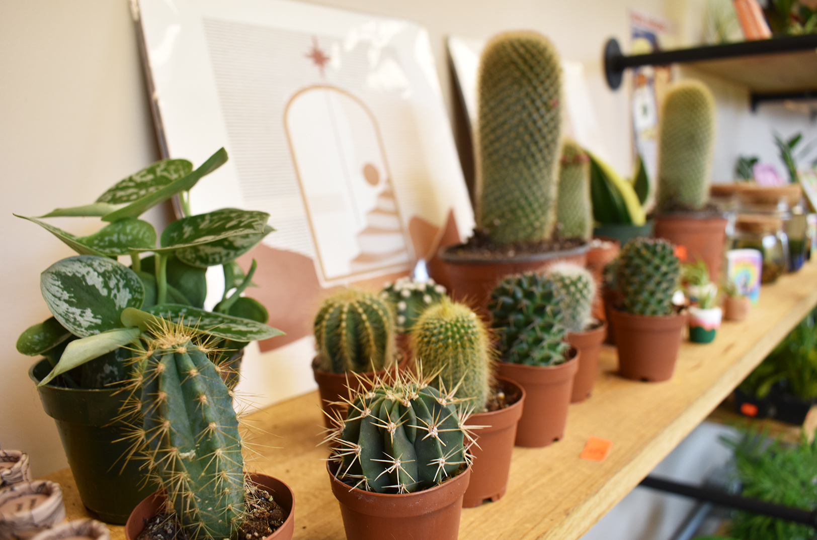 The Rolling Garden 02