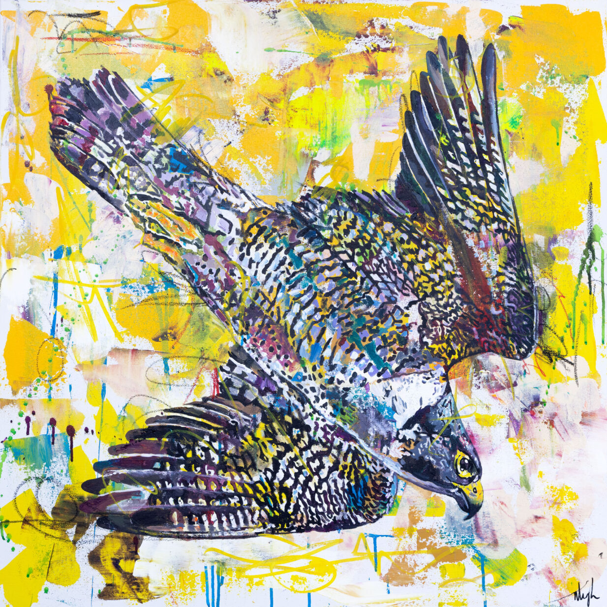 PeregrineFalcon_Screen