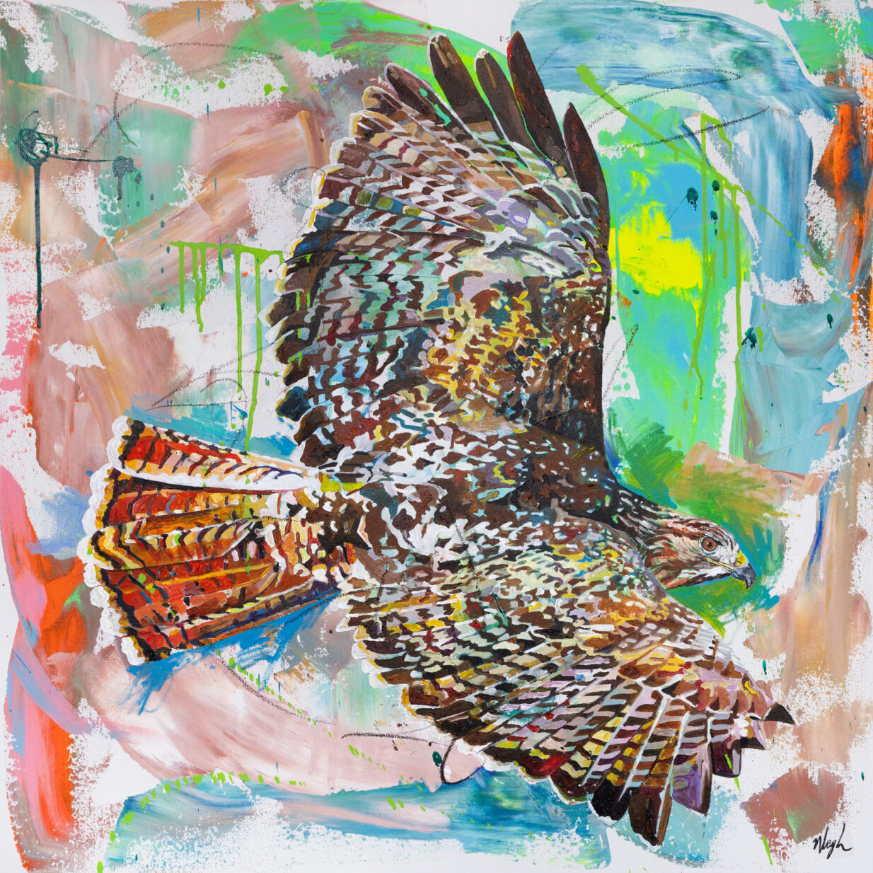 RedTailedHawk_Screen