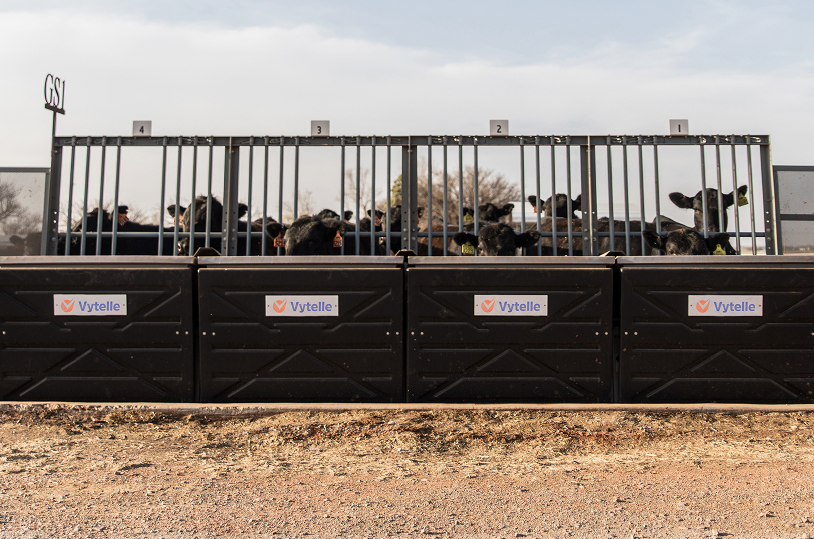 Photo courtesy of Vytelle