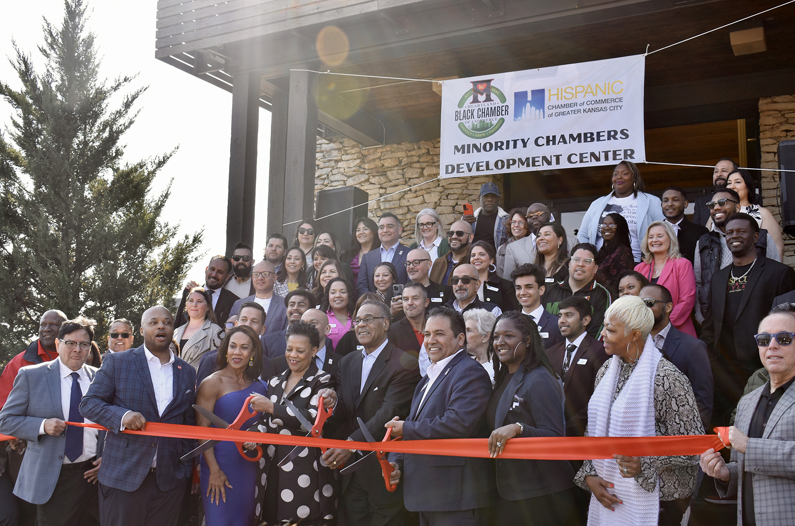 Minority Chamber no 01