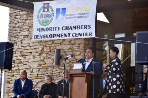 Minority Chamber no 04