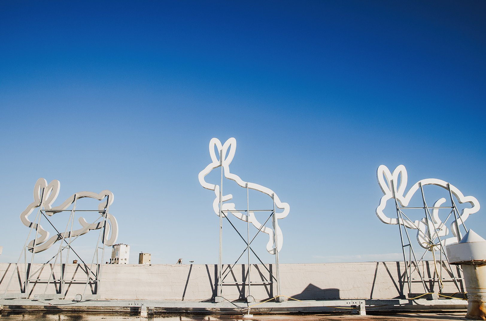 2_Rabbit Hole © Chase Castor, courtesy of Multistudio