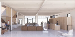 Laugh-O-Gram_1_©Multistudio