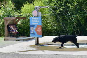 Bar K exterior 2024 03