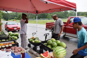 Ophelia's Blue Vine Farm 05