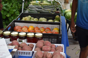 Ophelia's Blue Vine Farm 06