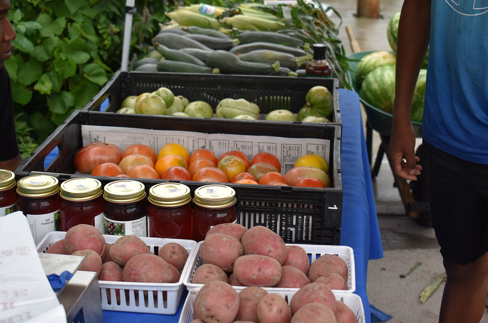 Ophelia's Blue Vine Farm 06