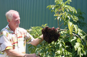 Fossil Springs Winery 04