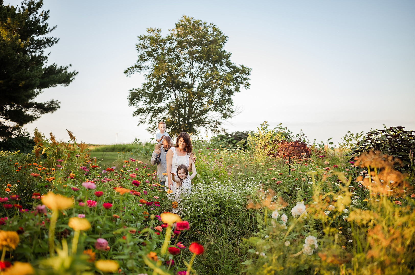 Thomas and Mandy Herron of Flower and Forged Farms walk through a field of flowers with their family; photo courtesy of Flower and Forged Farms
