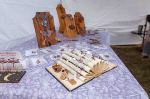 Strawberry Swing Emerging Maker Showcase-17