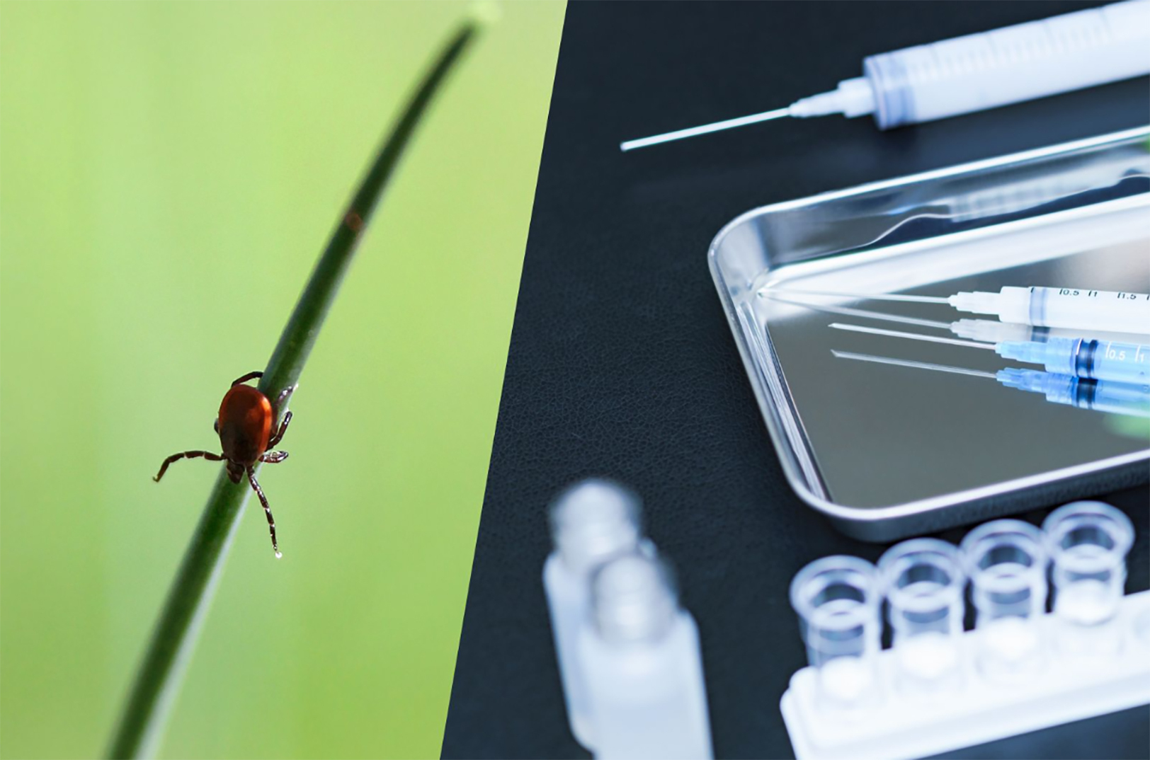 Design-Zyme; image courtesy of KU Innovation Park