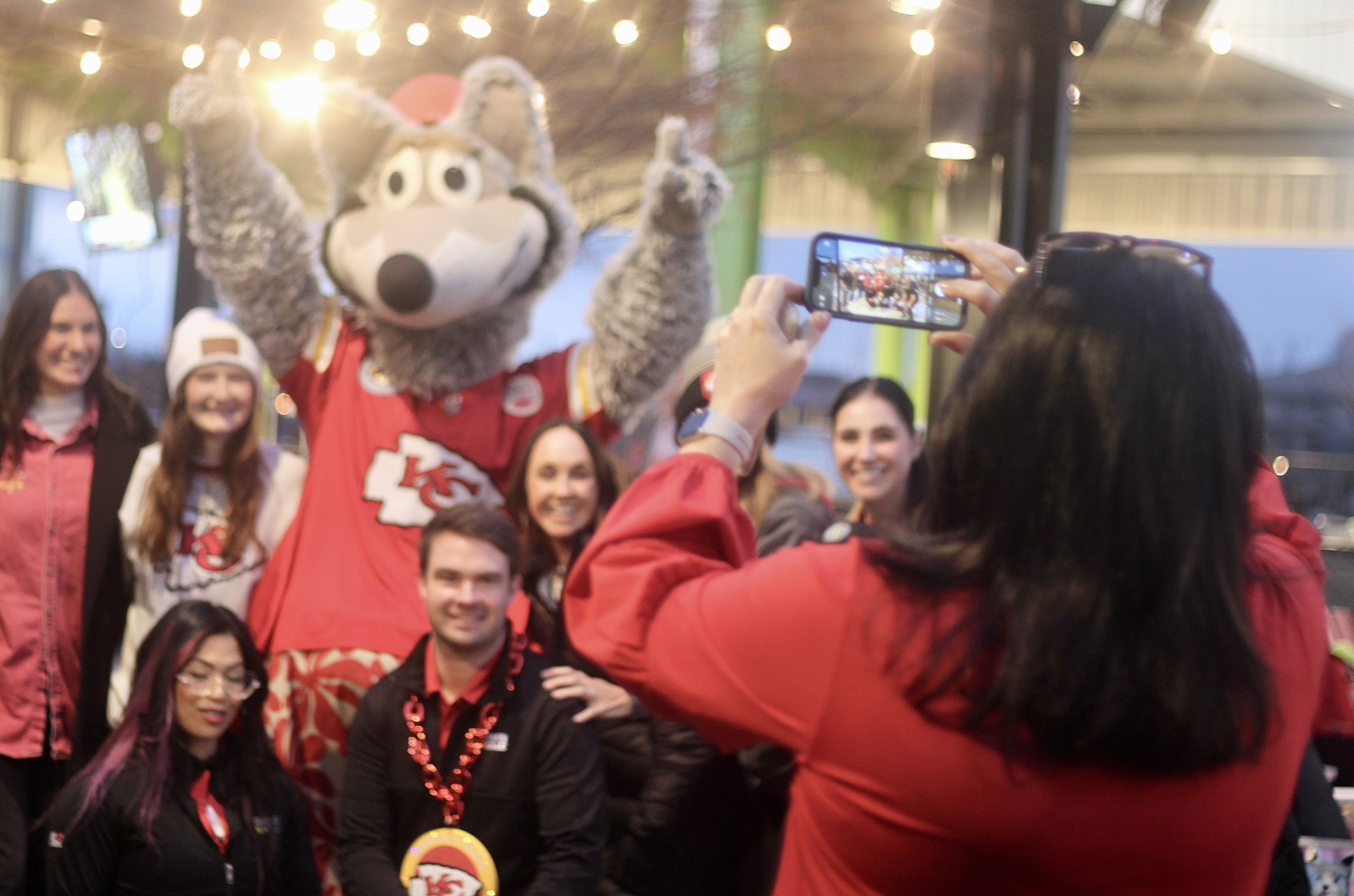 Chicken N Pickle Fox N Friends 09